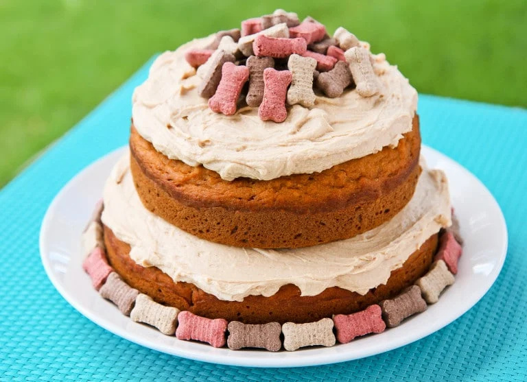 Are Dog Cakes Safe? What Ingredients to Look for and What to Avoid