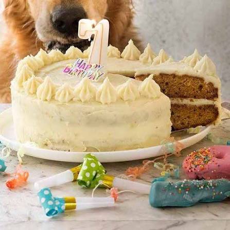 Are Dog Cakes Safe? What Ingredients to Look for and What to Avoid