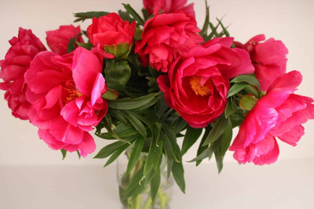 flowers Mosman
