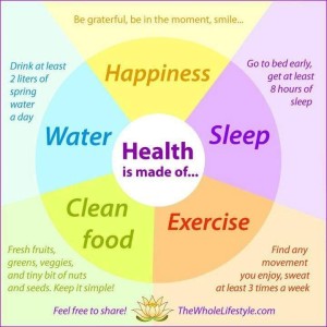 What health is made of