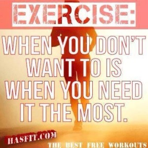 Fitness Friday
