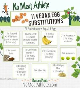 Vegan Egg Substitues