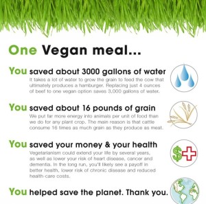 One Vegan Meal 