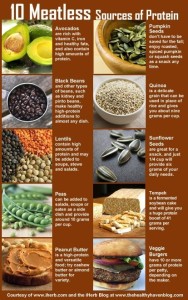 Meatless Protein