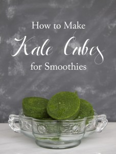 Kale-Cubes-for-Smoothies1-by-All-Sorts-of-Pretty1